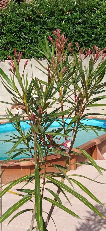 바글리오 세라 A Casa Di Anna B&B 외부 사진