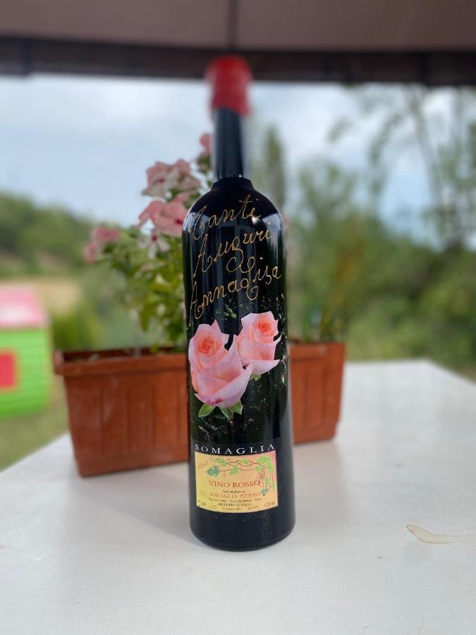 바글리오 세라 A Casa Di Anna B&B 외부 사진